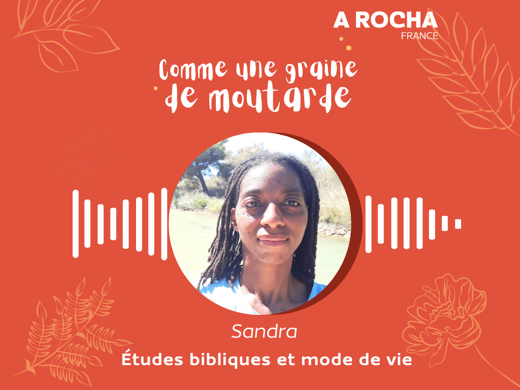Podcast Comme une graine de moutarde