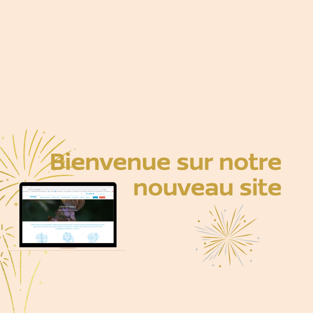 Bienvenue sur notre nouveau site internet !