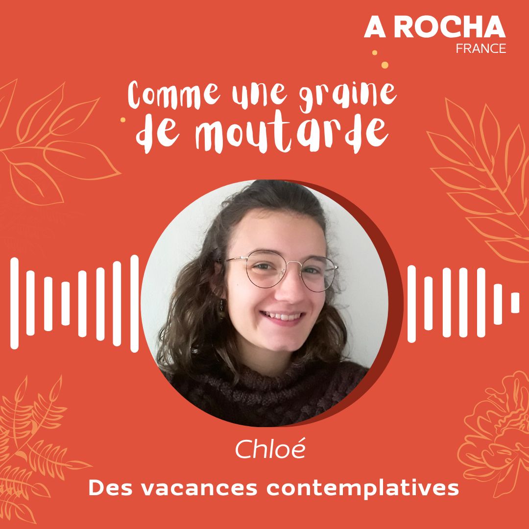 Comme une graine de moutarde - ¨Podcast
