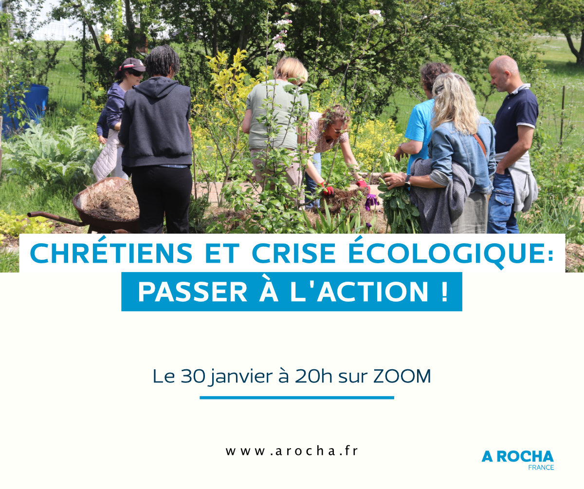 Webinaire 30 janvier 2025 : chrétiens et crise écologique