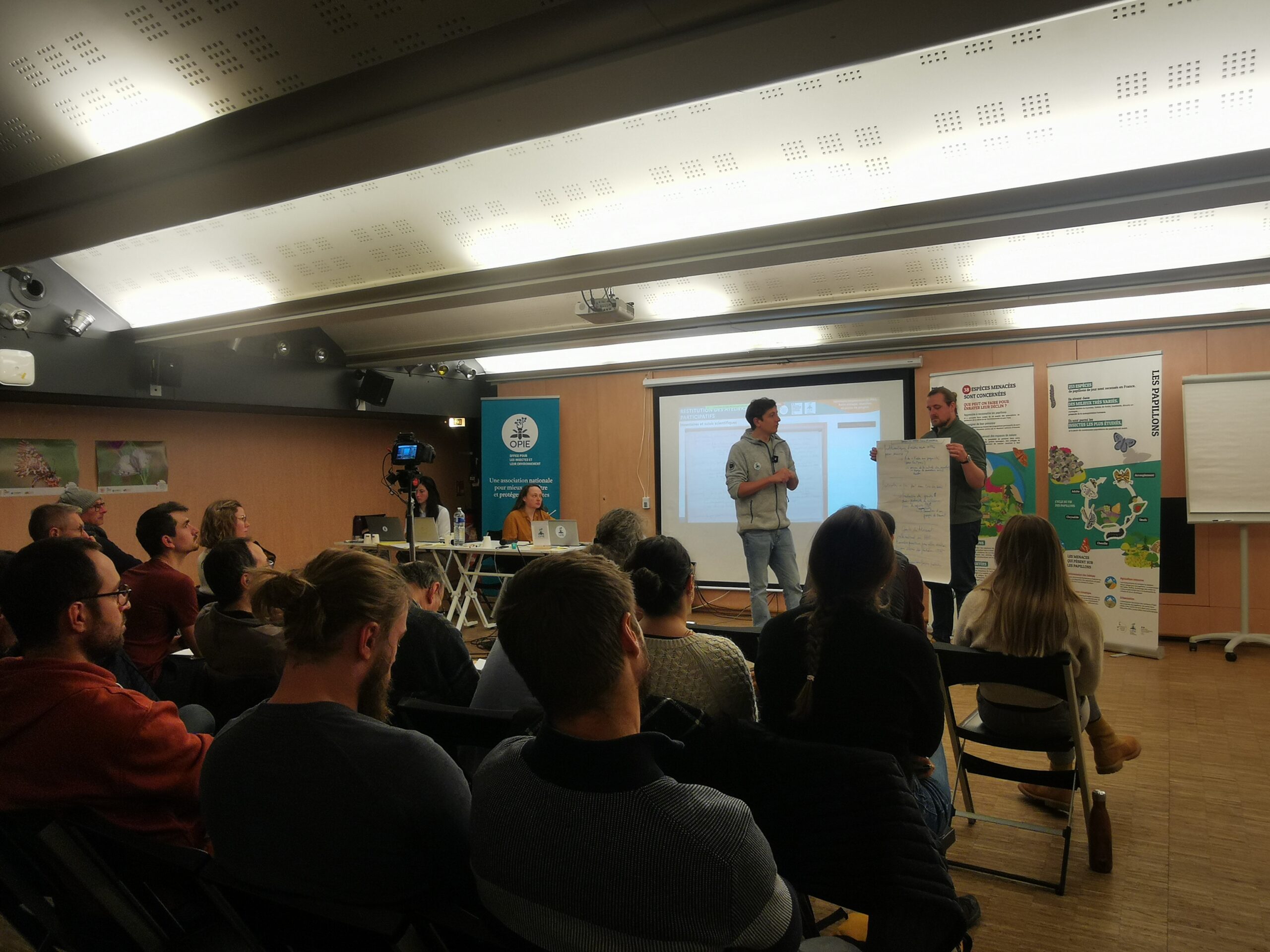 Conservation : séminaire Plan National d'action pour les papillons