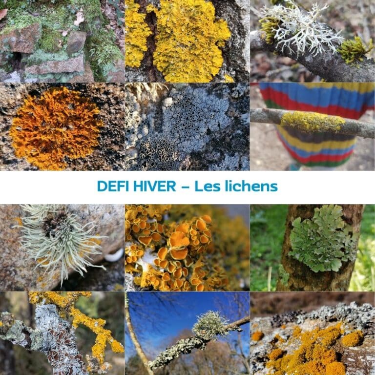 Défi des quatre saisons - hiver