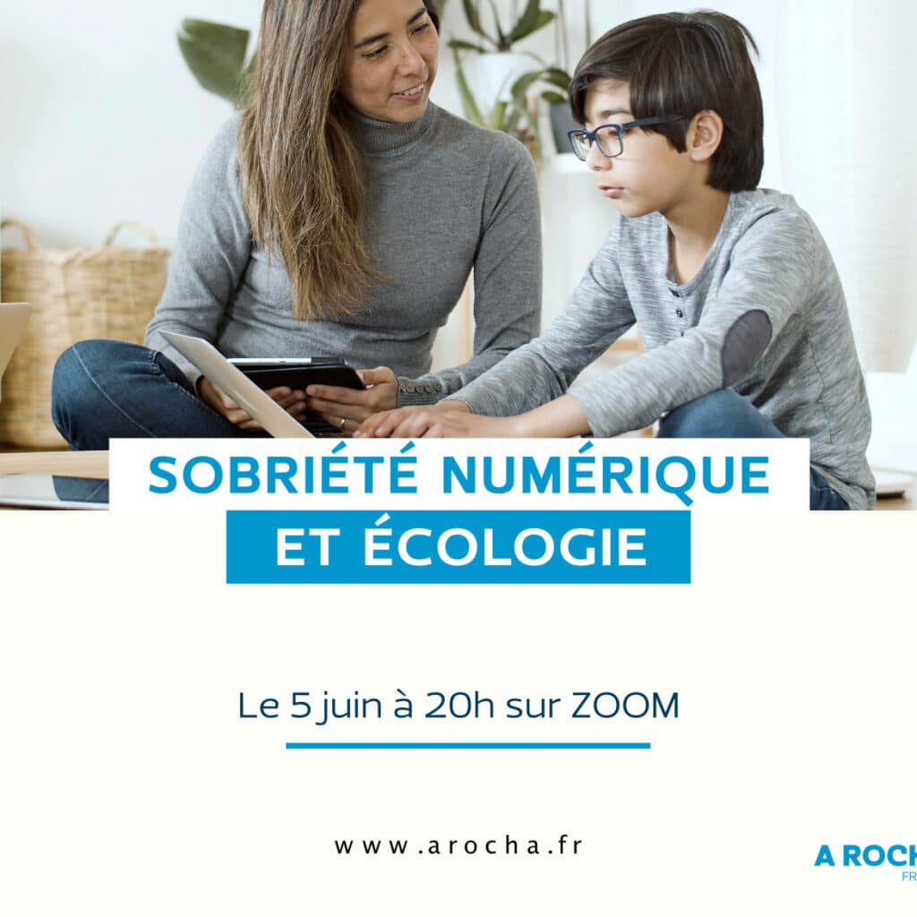 Webinaire Sobriété numérique et écologie le 5 juin 2025