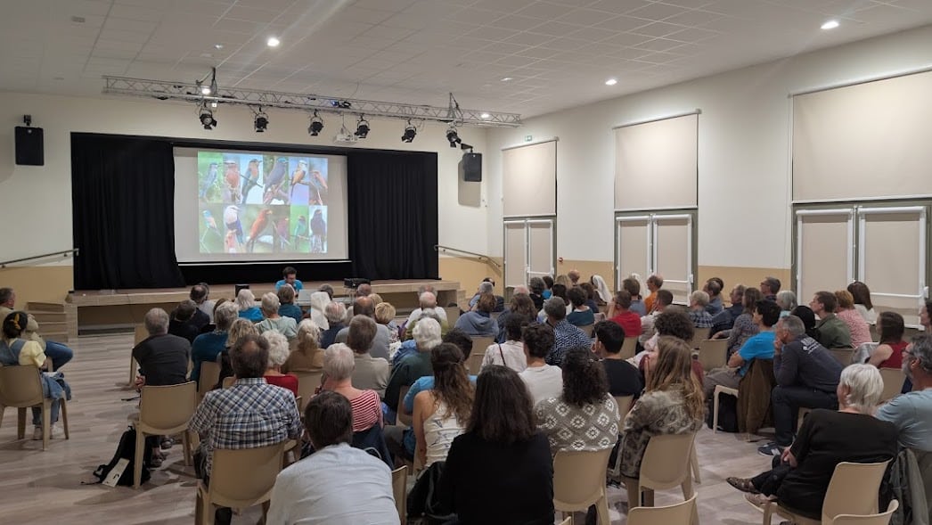 Documentaire sur le Rollier d'Europe