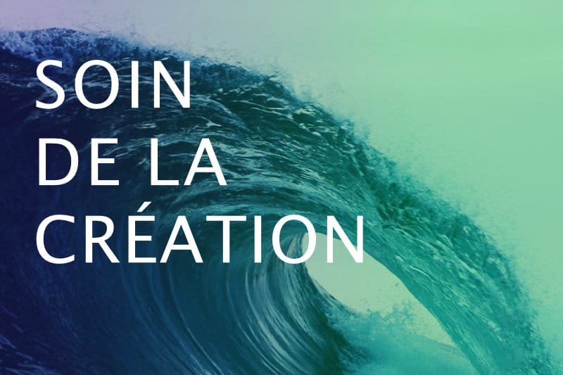 Formation Soin de la création du Bienenberg