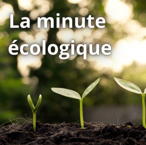 La minute écolo, conseils de vie pratique