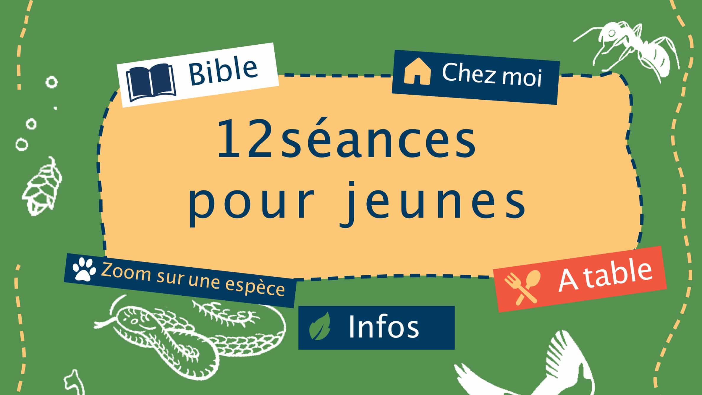 Cartes vertes - 12 séances pour les 11-16 ans
